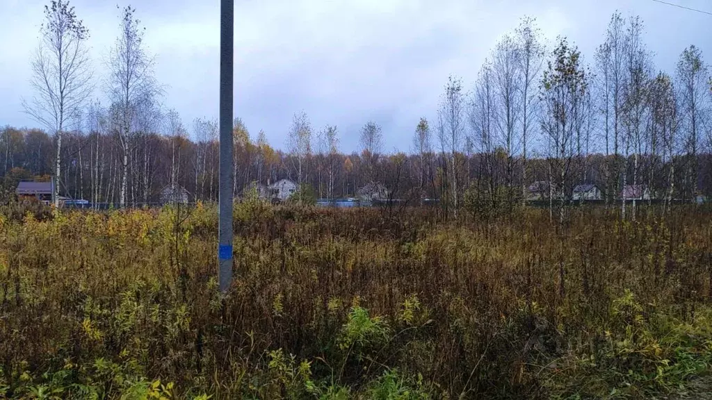 Участок в Московская область, Домодедово городской округ, с. Добрыниха ... - Фото 1