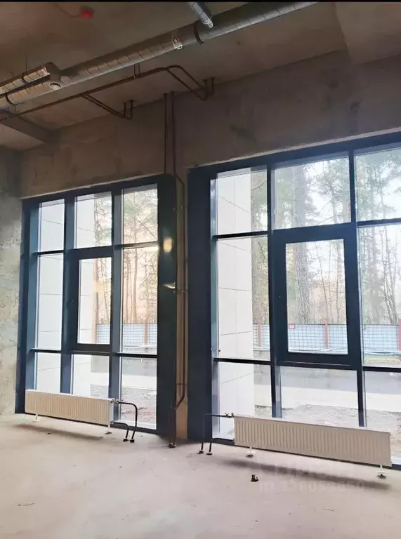 Помещение свободного назначения в Ленинградская область, Сосновый Бор ... - Фото 1