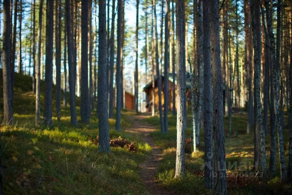 Комната Самарская область, Красноармейское с/пос, с. Красноармейское  ... - Фото 1