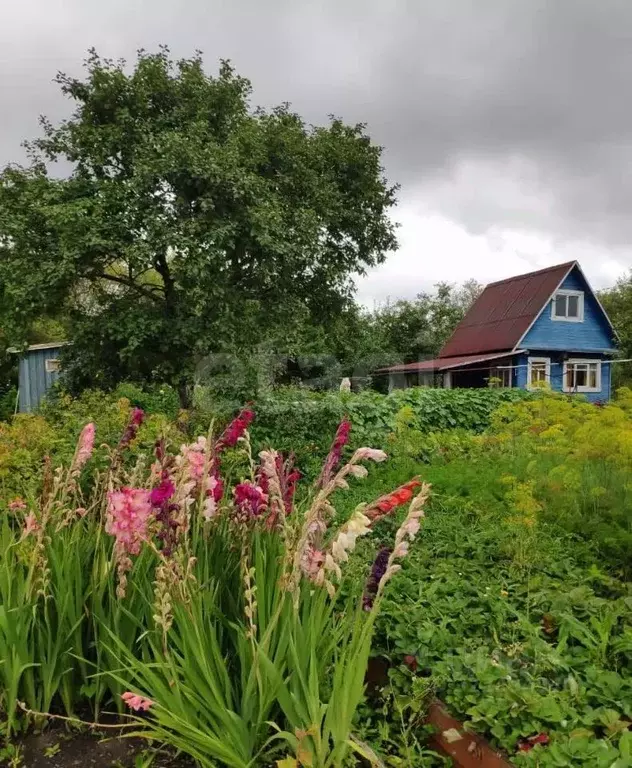 Дом в Вологодская область, Вологда Парус садоводческое товарищество, ... - Фото 1