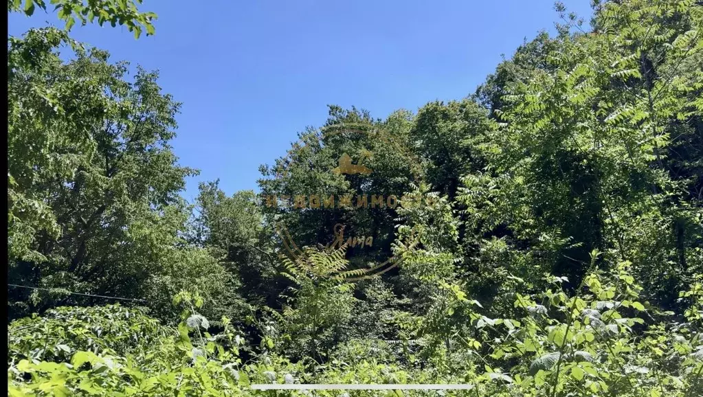 Участок в Крым, Ялта муниципальный округ, пос. Горное ул. Лесная (15.0 ... - Фото 2