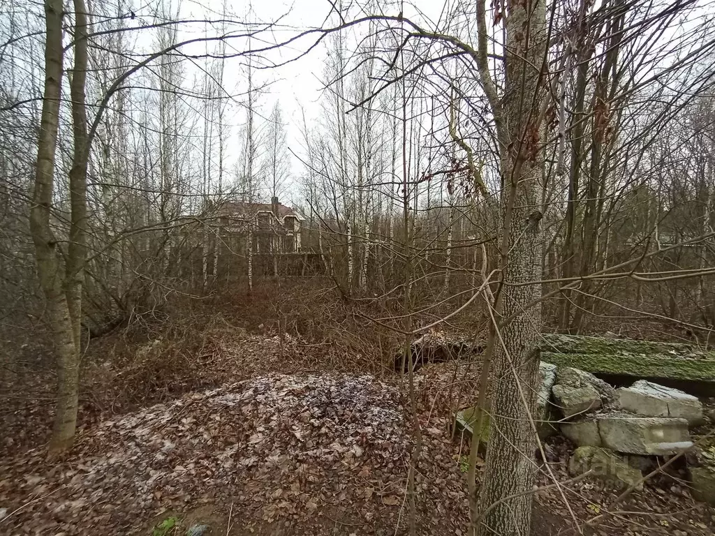 Участок в Санкт-Петербург пос. Парголово, Озерная ул., 45к4 (13.7 ... - Фото 2