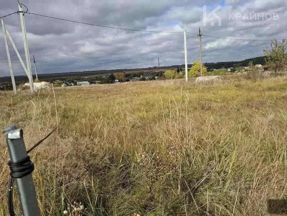 Участок в Воронежская область, Семилукский район, с. Девица пер. Тихий ... - Фото 2