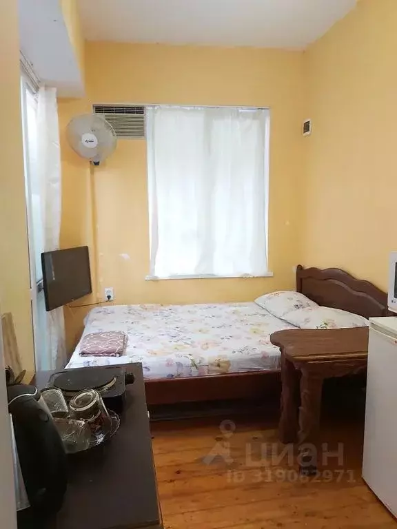 Студия Крым, Алупка ул. Амет-хана Султана, 8 (11.0 м) - Фото 0