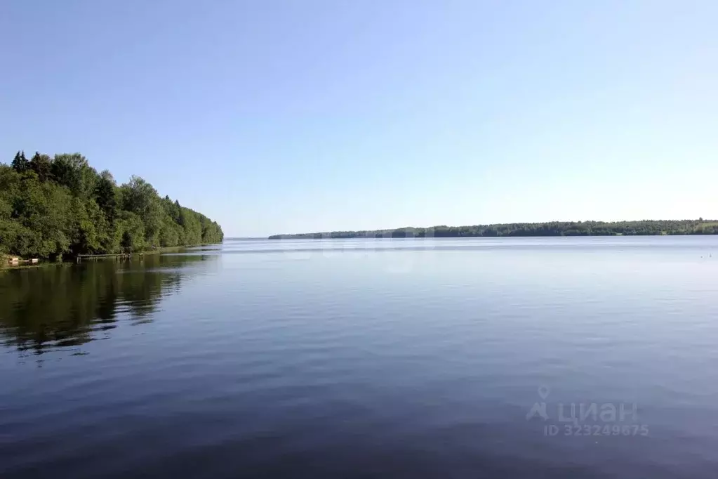 Участок в Вологодская область, Шекснинский муниципальный округ, д. ... - Фото 1