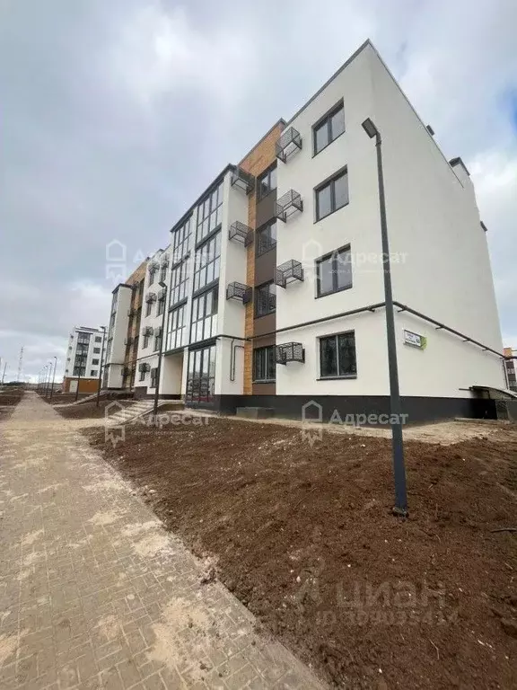 1-к кв. Волгоградская область, Волгоград Родниковая ул., 39 (24.8 м) - Фото 1