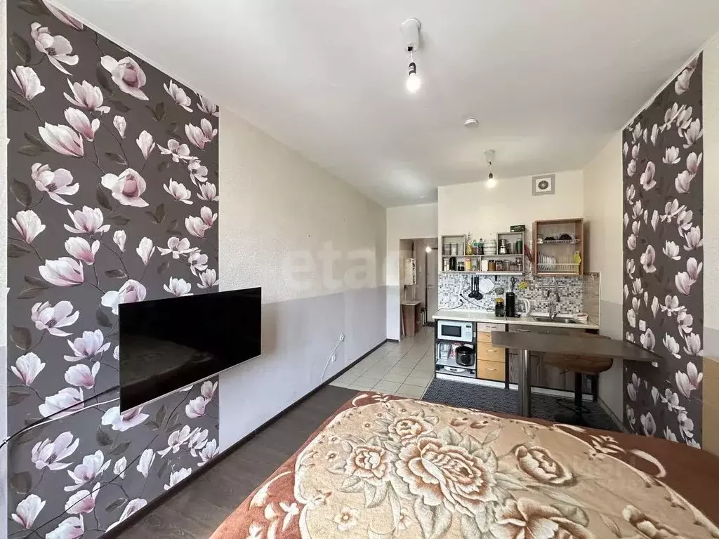 Студия Санкт-Петербург ул. Маршала Казакова, 70к1 (23.7 м) - Фото 1