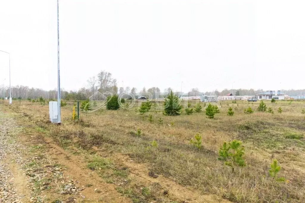 Участок в Тюменская область, Тюменский муниципальный округ, ... - Фото 1