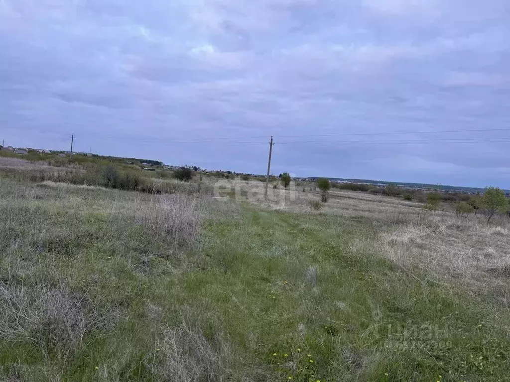 Участок в Мордовия, Большеберезниковский район, с. Нерлей Центральная ... - Фото 1