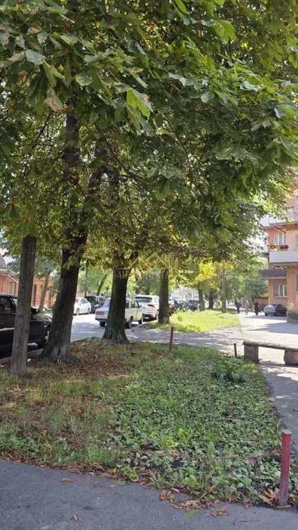 1-к кв. Северная Осетия, Владикавказ Ростовская ул., 21 (28.0 м) - Фото 2