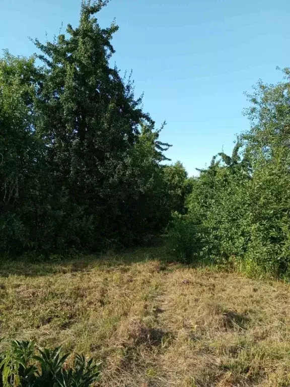 Дом в Нижегородская область, Кстовский муниципальный округ, д. Крутец ... - Фото 0