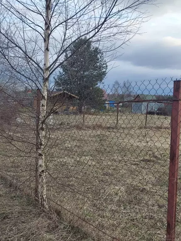 Участок в Московская область, Клин городской округ, Орлово СНТ  (10.0 ... - Фото 2