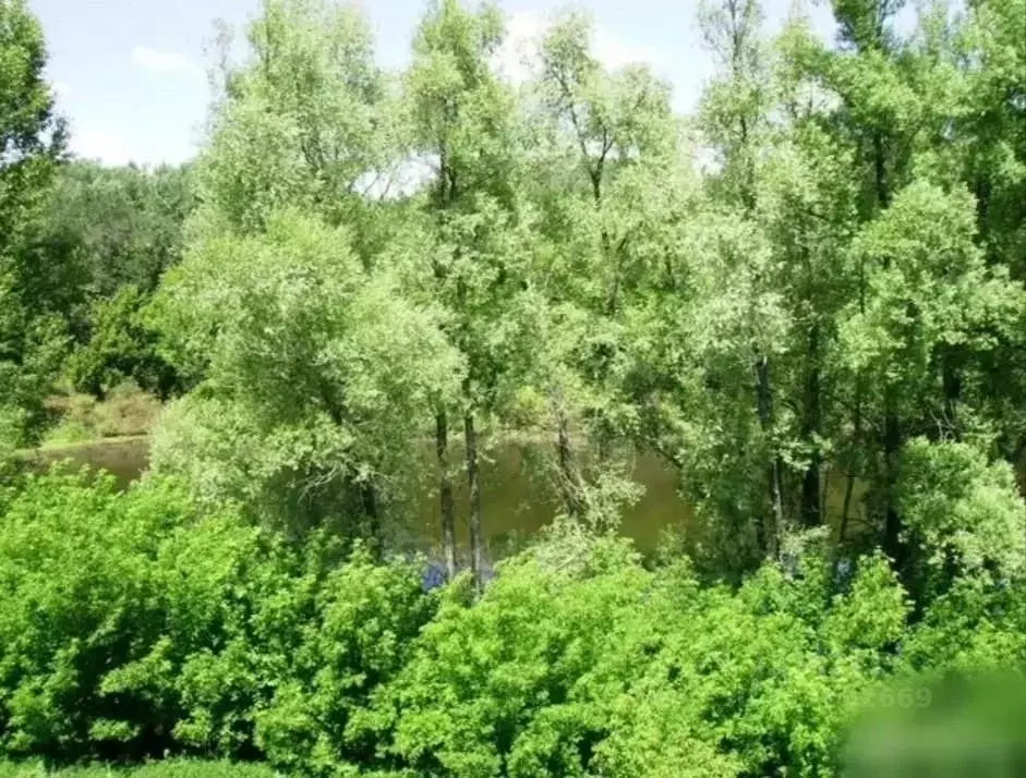 Участок в Оренбургская область, Оренбургский район, Красноуральский ... - Фото 1