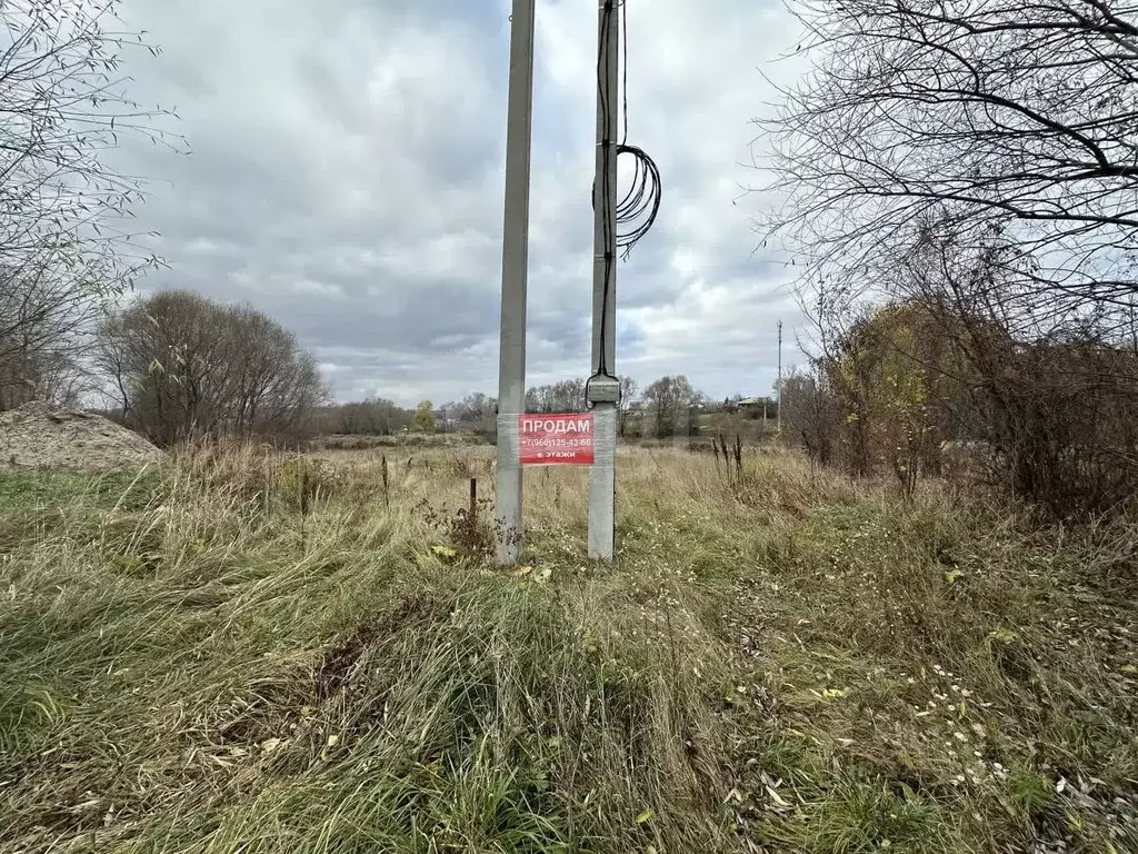 Участок в Воронежская область, Рамонский район, с. Новоживотинное ул. ... - Фото 1