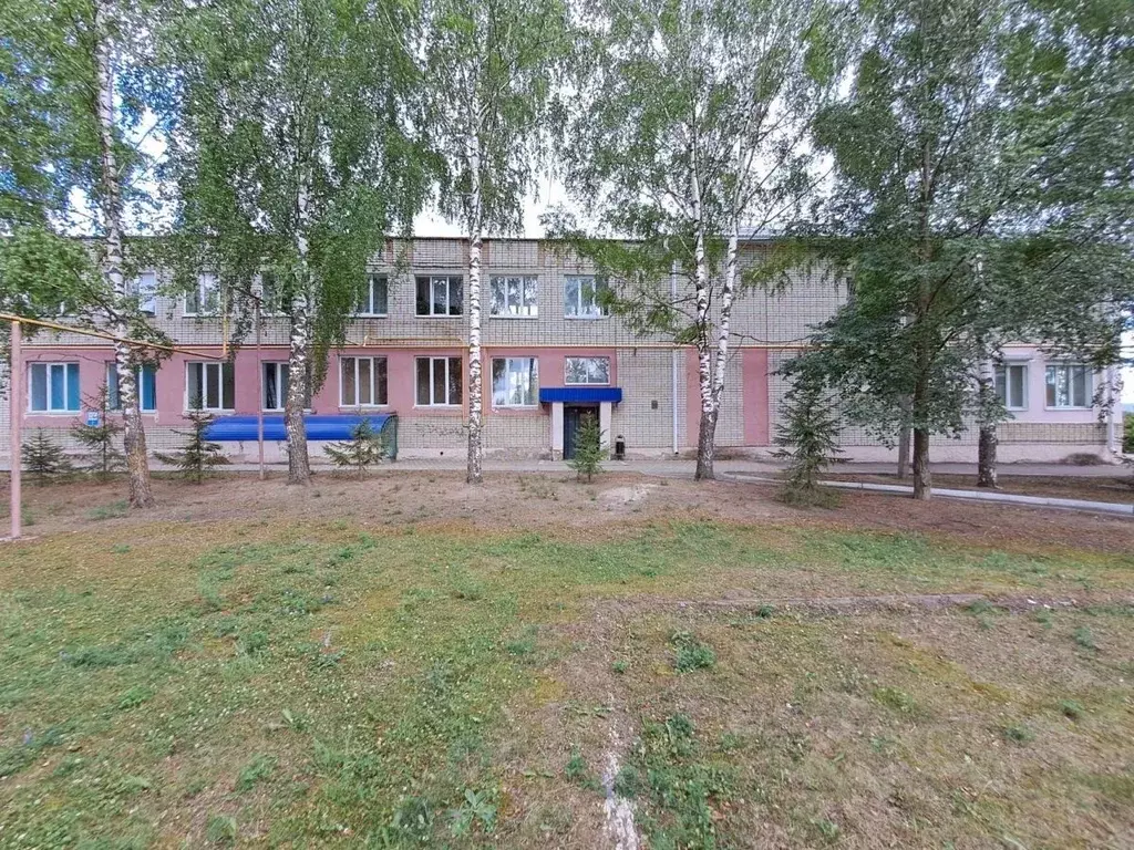 Помещение свободного назначения в Марий Эл, Новый Торъял пгт ул. ... - Фото 1