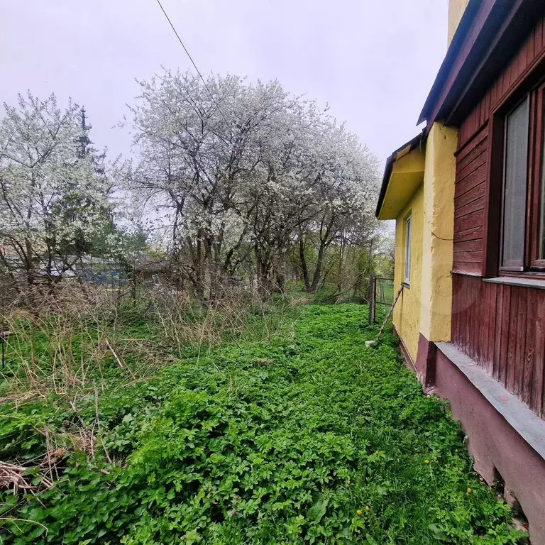 Участок 21,5 сот. (ИЖС) - Фото 0