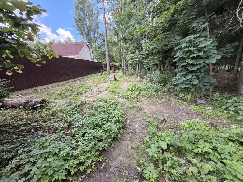 Участок в Московская область, Солнечногорск городской округ, Покров ... - Фото 2
