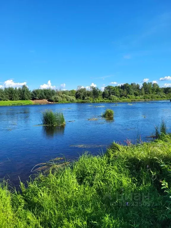 Участок в Псковская область, Палкинский муниципальный округ, д. ... - Фото 1