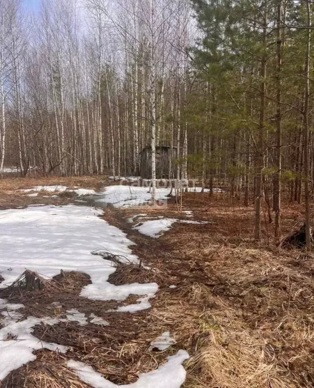 Участок в Марий Эл, Медведевский район, Сидоровское с/пос, Новотроицк ... - Фото 1