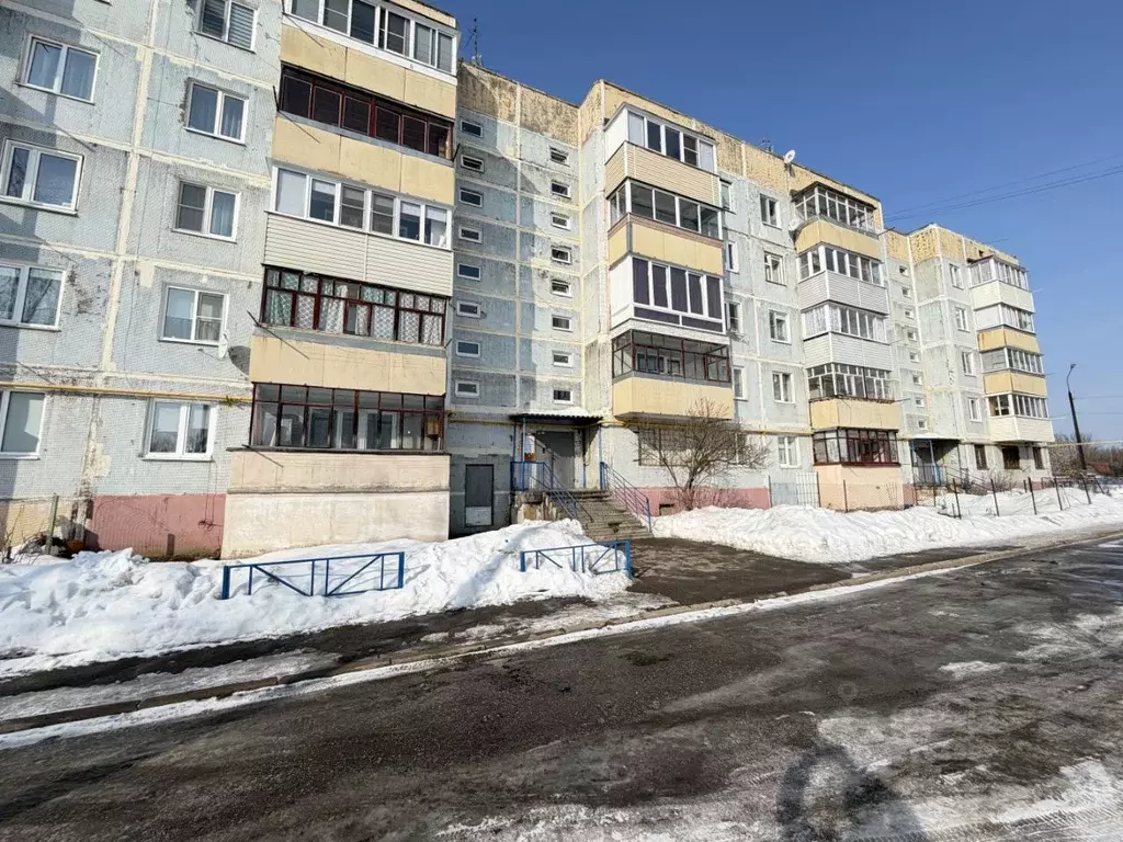 1-к кв. Московская область, Богородский городской округ, д. Большое ... - Фото 1