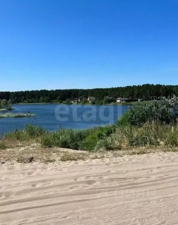 Участок в Брянская область, Сельцо  (6.0 сот.) - Фото 1