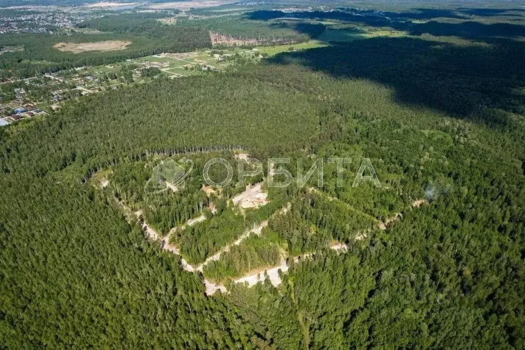 Участок в Тюменская область, Нижнетавдинский район, Геолог-2 СНТ  (9.0 ... - Фото 1
