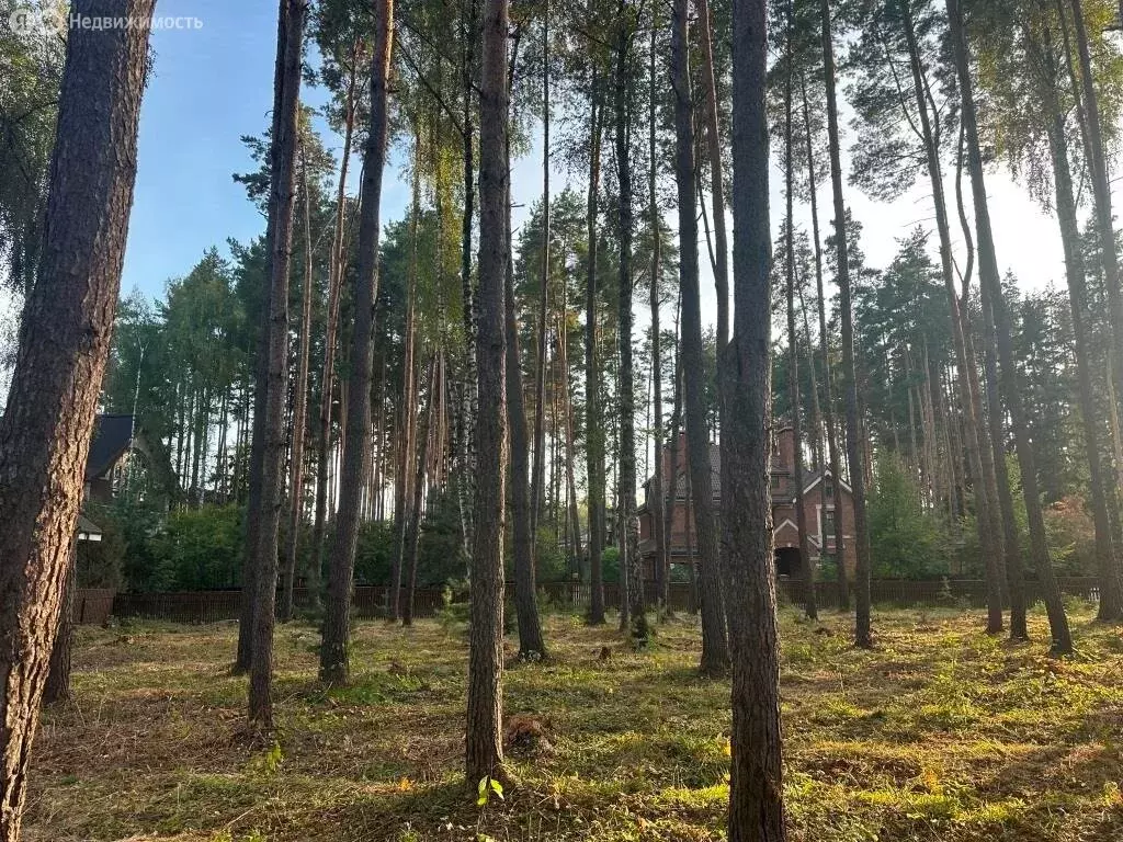 Участок в Химки, микрорайон Новогорск, Сосновая улица, 50 (19 м) - Фото 1