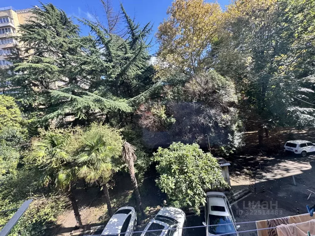 1-к кв. Краснодарский край, Сочи Заречный мкр, ул. Абрикосовая (30.0 ... - Фото 2