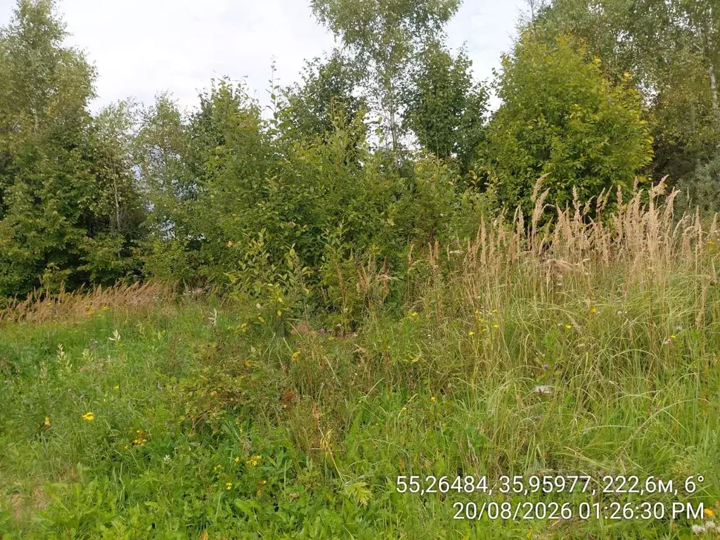 Участок в Московская область, Наро-Фоминский городской округ, д. ... - Фото 1