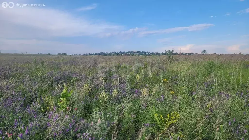 Участок в Новогусельский, территория СХПК Аграрник (6 м) - Фото 1