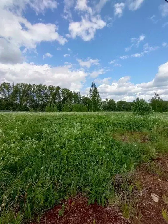 Участок в Ленинградская область, Ломоносовский район, Лопухинское ... - Фото 1