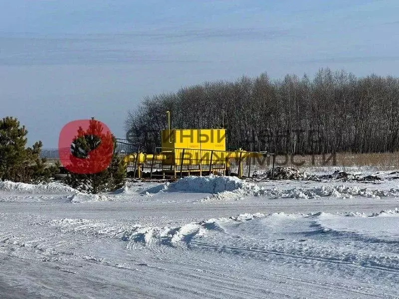 Участок в Тюменская область, Тюменский район, с. Кулаково  (10.0 сот.) - Фото 1
