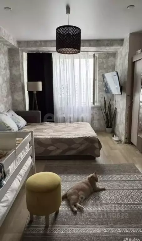 Комната Московская область, Одинцово ул. Маршала Жукова, 36 (17.7 м) - Фото 2