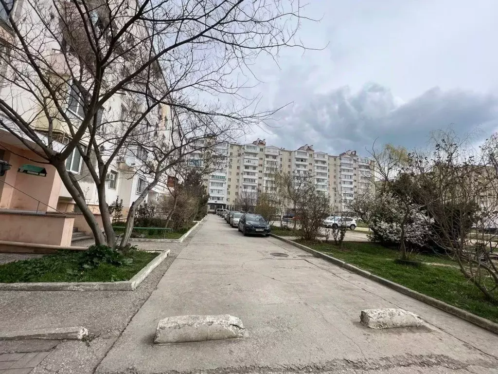 Помещение свободного назначения в Крым, Евпатория просп. Победы, 81 ... - Фото 2