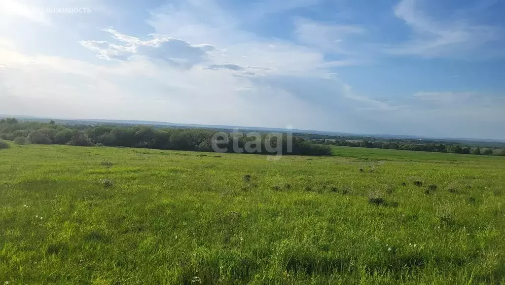 Участок в Пермский муниципальный округ, деревня Горшки (420 м) - Фото 1