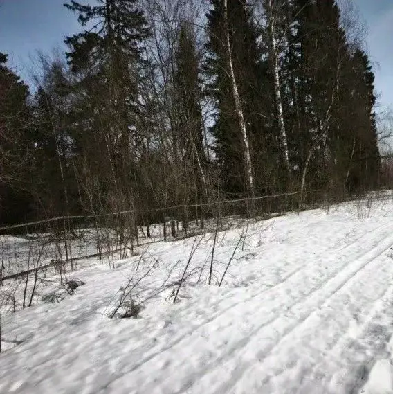 Участок в Московская область, Лобня Луговая ул. (12.51 сот.) - Фото 1