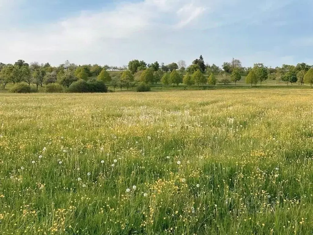 Участок в Курская область, Курский район, Моковский сельсовет, д. ... - Фото 1