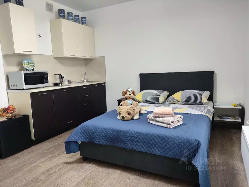 Студия Тюменская область, Тюмень ул. Червишевский Тракт, 45к1 (23.0 м) - Фото 1