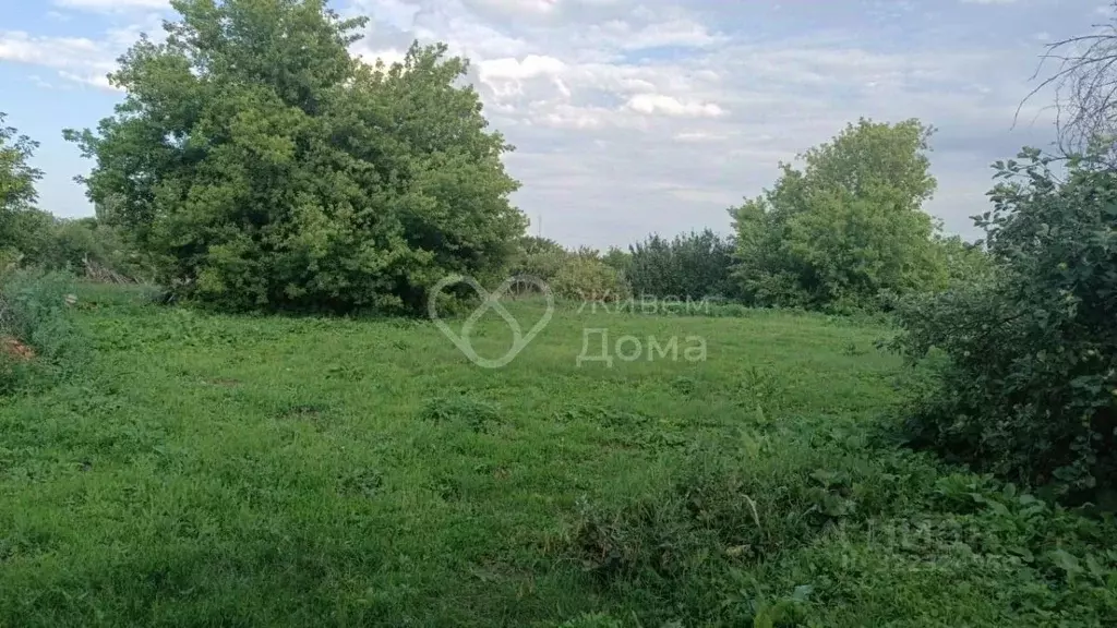 Участок в Волгоградская область, Городищенский район, с. Карповка ... - Фото 1