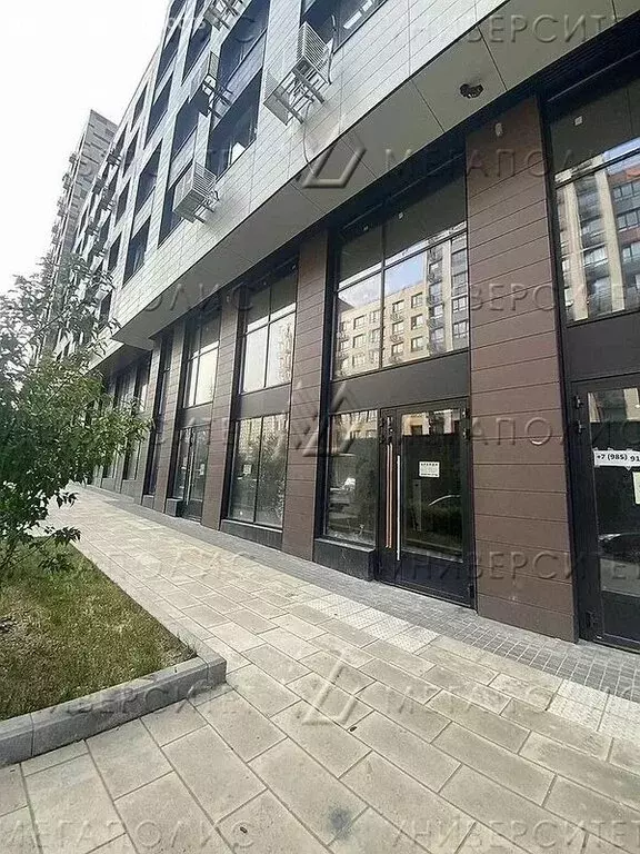 Помещение свободного назначения (42 м) - Фото 2