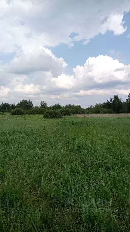 Участок в Московская область, Егорьевск муниципальный округ, д. ... - Фото 0