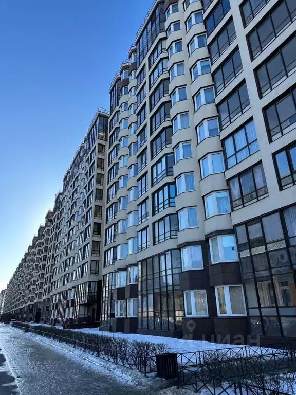 Студия Санкт-Петербург просп. Ветеранов, 171к5 (24.0 м) - Фото 0