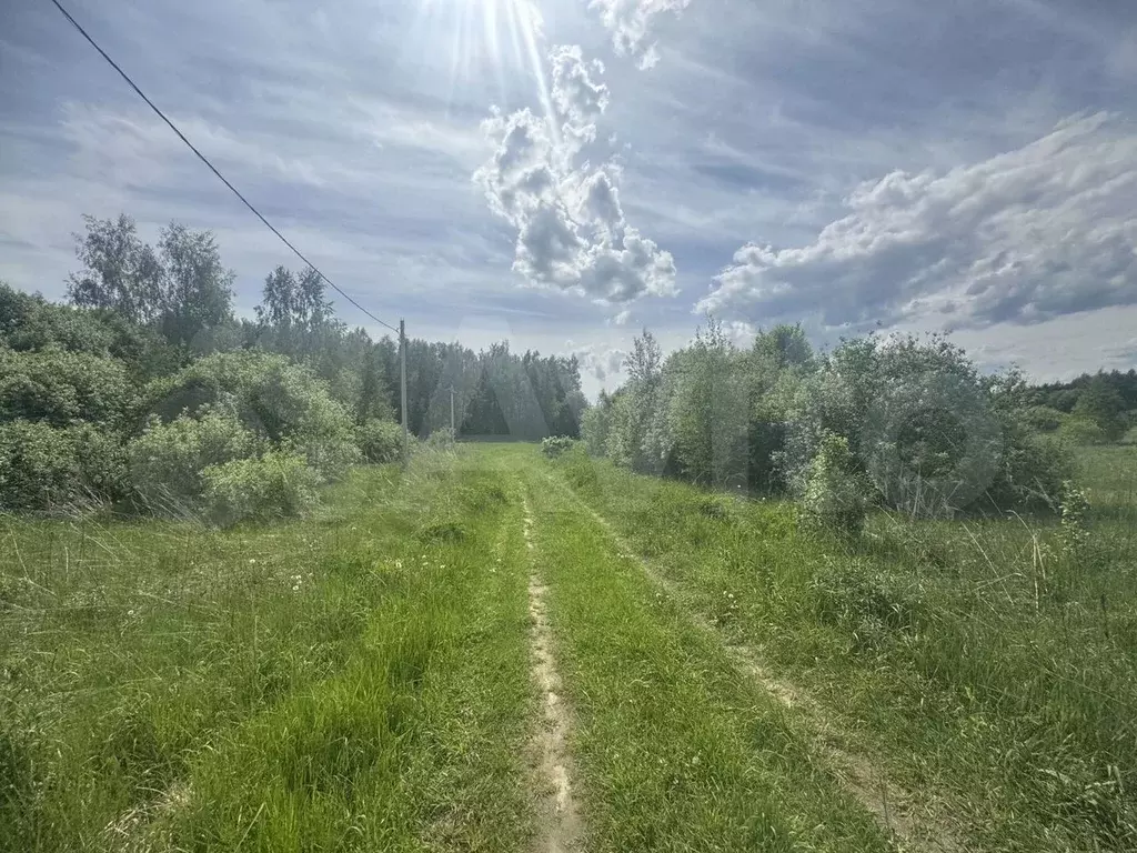 Участок 12 сот. (СНТ, ДНП) - Фото 0