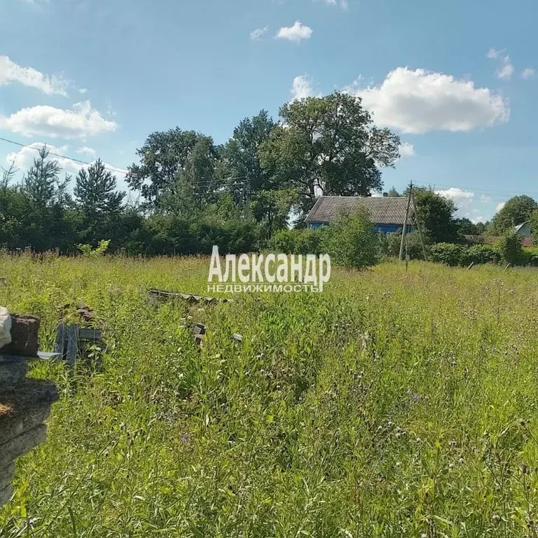Участок в Ленинградская область, Волосовский район, Большеврудское ... - Фото 1