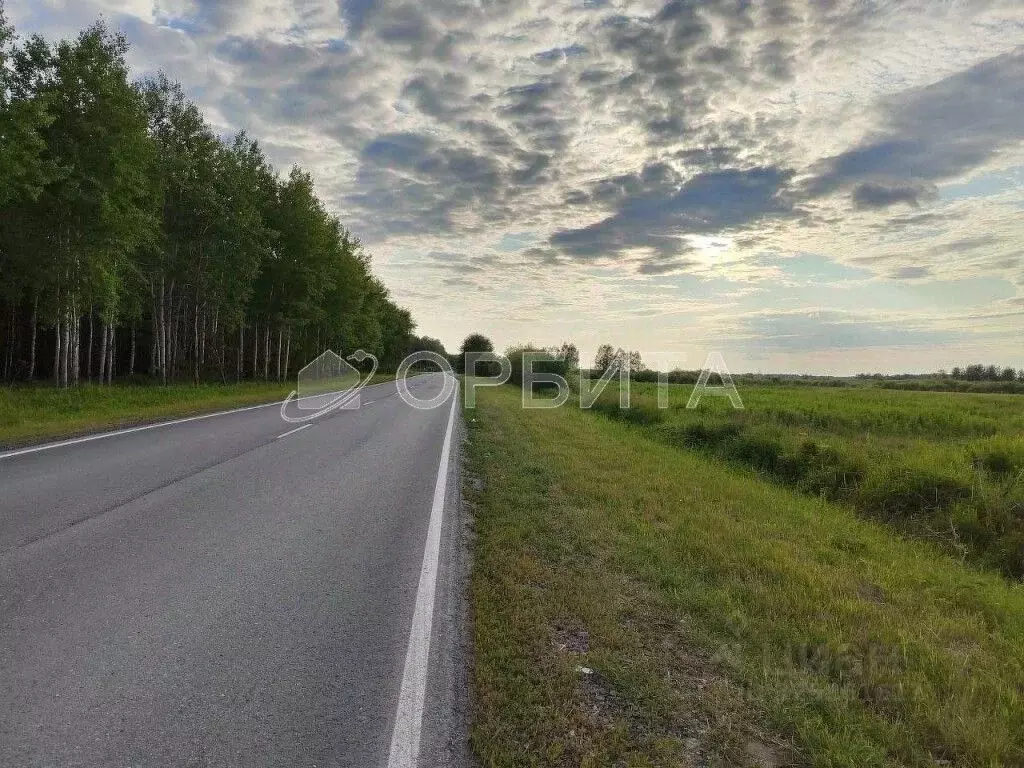 Участок в Тюменская область, Тюменский муниципальный округ, с. ... - Фото 1