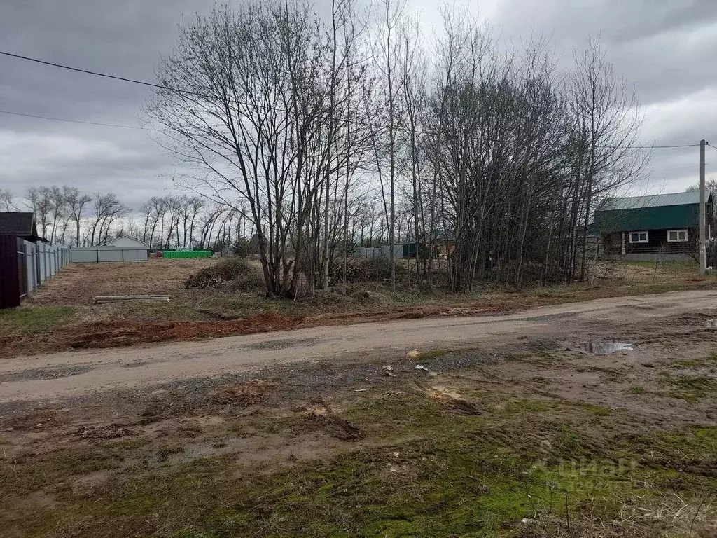 Участок в Нижегородская область, Богородский муниципальный округ, ... - Фото 1