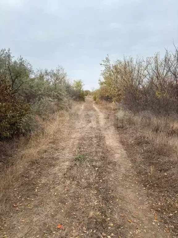 Участок 8 сот. (СНТ, ДНП) - Фото 0