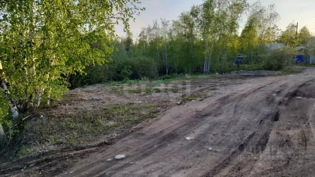 Участок в Саха (Якутия), Покровск Березовая ул. (9.9 сот.) - Фото 0