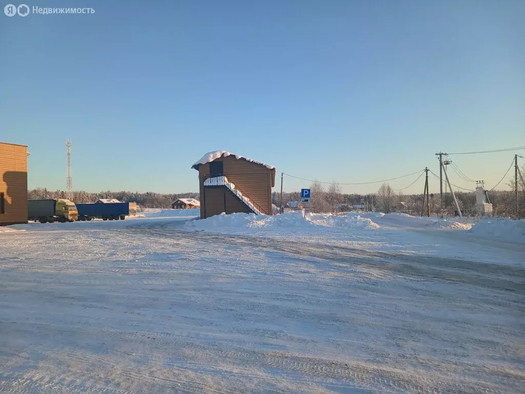 Помещение свободного назначения (250 м) - Фото 2