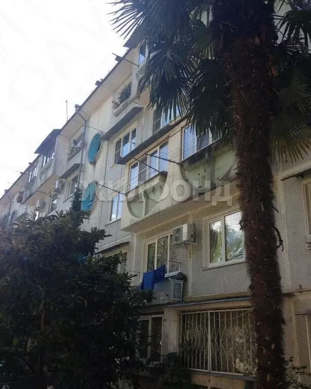 1-комнатная квартира: Сочи, Курортный проспект, 100/8 (34 м) - Фото 1